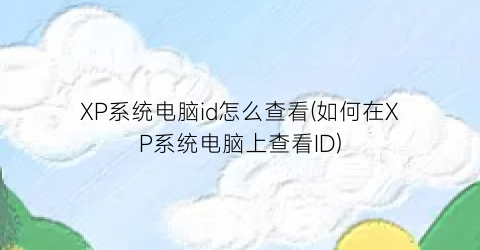 XP系统电脑id怎么查看(如何在XP系统电脑上查看ID)