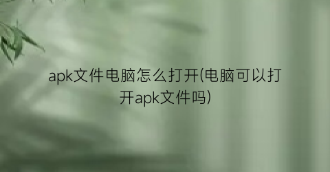 apk文件电脑怎么打开(电脑可以打开apk文件吗)