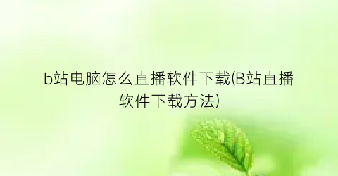 b站电脑怎么直播软件下载(B站直播软件下载方法)