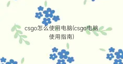 csgo怎么使用电脑(csgo电脑使用指南)