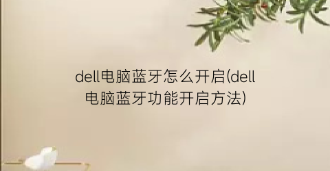 dell电脑蓝牙怎么开启(dell电脑蓝牙功能开启方法)