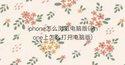 iphone怎么浏览电脑版(iPhone上怎么打开电脑版)