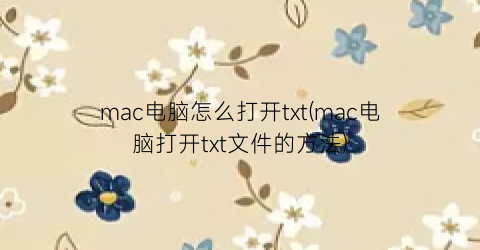 “mac电脑怎么打开txt(mac电脑打开txt文件的方法)