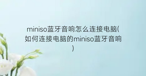 miniso蓝牙音响怎么连接电脑(如何连接电脑的miniso蓝牙音响)