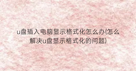 “u盘插入电脑显示格式化怎么办(怎么解决u盘显示格式化的问题)