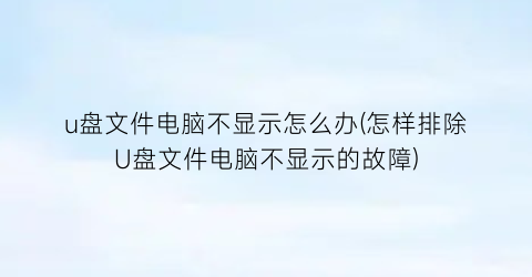 u盘文件电脑不显示怎么办(怎样排除U盘文件电脑不显示的故障)