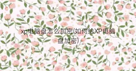 xp电脑盘怎么加密(如何给XP电脑盘加密)