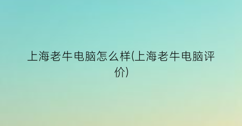 上海老牛电脑怎么样(上海老牛电脑评价)