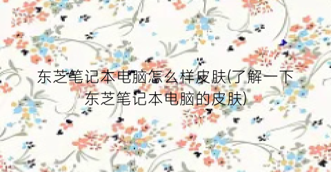 东芝笔记本电脑怎么样皮肤(了解一下东芝笔记本电脑的皮肤)