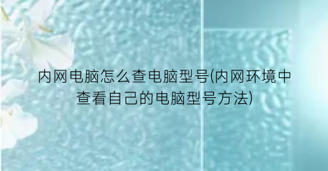 内网电脑怎么查电脑型号(内网环境中查看自己的电脑型号方法)