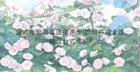 台式电脑怎么连接声卡(如何将声卡连接至台式电脑)