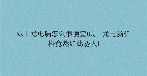 威士龙电脑怎么很便宜(威士龙电脑价格竟然如此诱人)