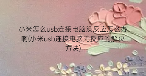 小米怎么usb连接电脑没反应怎么办啊(小米usb连接电脑无反应的解决方法)