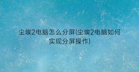 尘埃2电脑怎么分屏(尘埃2电脑如何实现分屏操作)