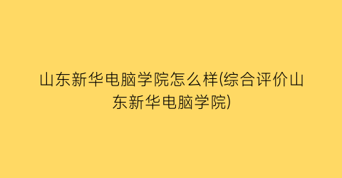 山东新华电脑学院怎么样(综合评价山东新华电脑学院)