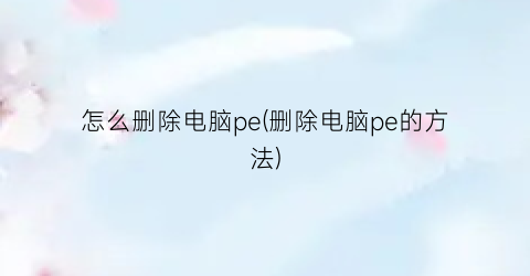 怎么删除电脑pe(删除电脑pe的方法)