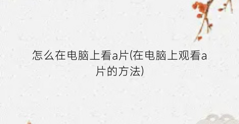 “怎么在电脑上看a片(在电脑上观看a片的方法)