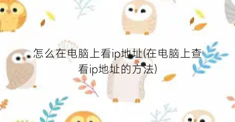 “怎么在电脑上看ip地址(在电脑上查看ip地址的方法)