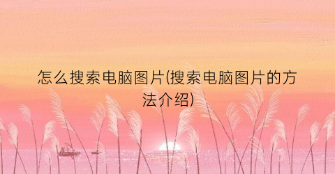 怎么搜索电脑图片(搜索电脑图片的方法介绍)