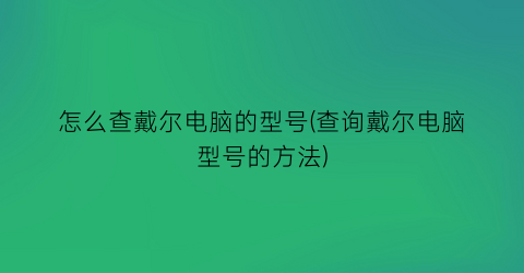 “怎么查戴尔电脑的型号(查询戴尔电脑型号的方法)
