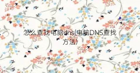 怎么查找电脑dns(电脑DNS查找方法)