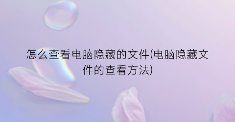 “怎么查看电脑隐藏的文件(电脑隐藏文件的查看方法)
