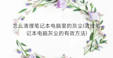 “怎么清理笔记本电脑里的灰尘(清理笔记本电脑灰尘的有效方法)