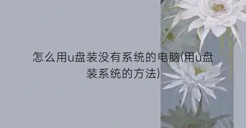 怎么用u盘装没有系统的电脑(用u盘装系统的方法)