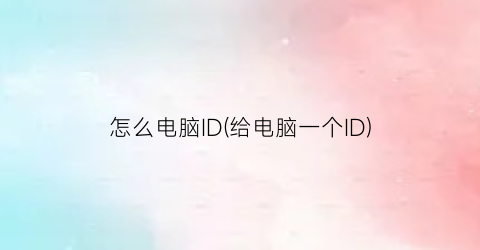 怎么电脑ID(给电脑一个ID)