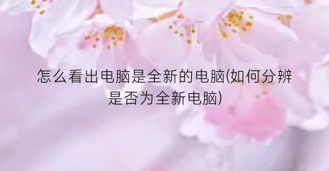 “怎么看出电脑是全新的电脑(如何分辨是否为全新电脑)