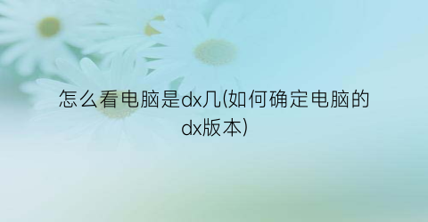 怎么看电脑是dx几(如何确定电脑的dx版本)