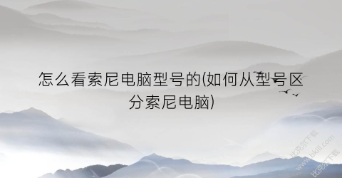 怎么看索尼电脑型号的(如何从型号区分索尼电脑)