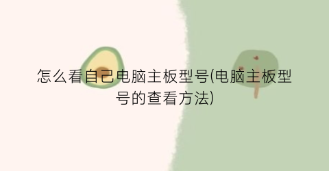 “怎么看自己电脑主板型号(电脑主板型号的查看方法)