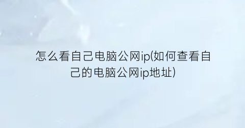 怎么看自己电脑公网ip(如何查看自己的电脑公网ip地址)