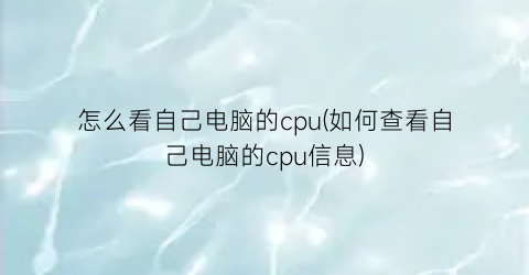 怎么看自己电脑的cpu(如何查看自己电脑的cpu信息)