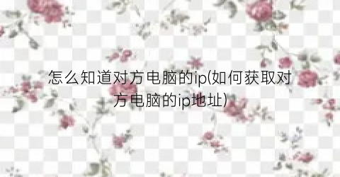 怎么知道对方电脑的ip(如何获取对方电脑的ip地址)