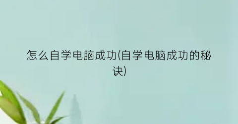 怎么自学电脑成功(自学电脑成功的秘诀)