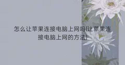 “怎么让苹果连接电脑上网吗(让苹果连接电脑上网的方法)