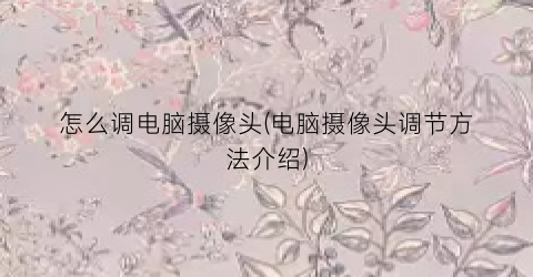 怎么调电脑摄像头(电脑摄像头调节方法介绍)