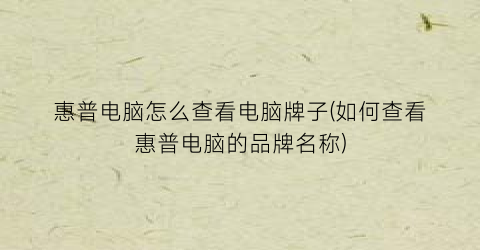 惠普电脑怎么查看电脑牌子(如何查看惠普电脑的品牌名称)