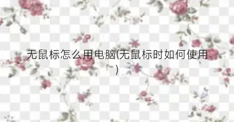 “无鼠标怎么用电脑(无鼠标时如何使用)