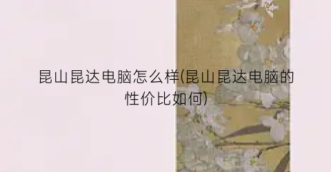 昆山昆达电脑怎么样(昆山昆达电脑的性价比如何)