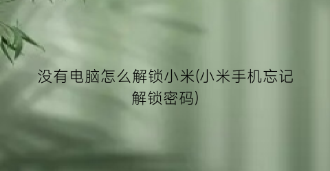 “没有电脑怎么解锁小米(小米手机忘记解锁密码)