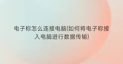 电子称怎么连接电脑(如何将电子称接入电脑进行数据传输)