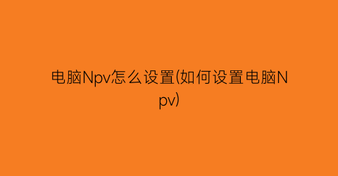 电脑Npv怎么设置(如何设置电脑Npv)