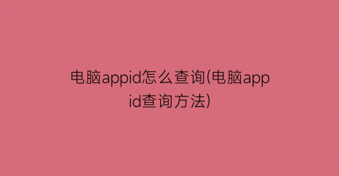 电脑appid怎么查询(电脑appid查询方法)