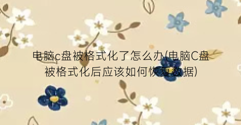“电脑c盘被格式化了怎么办(电脑C盘被格式化后应该如何恢复数据)