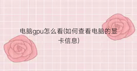 电脑gpu怎么看(如何查看电脑的显卡信息)