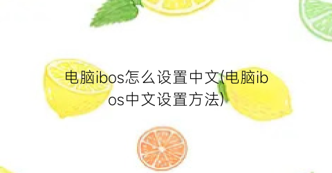 电脑ibos怎么设置中文(电脑ibos中文设置方法)