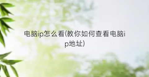 “电脑ip怎么看(教你如何查看电脑ip地址)